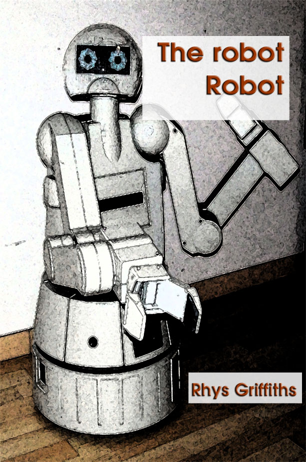 The robot Robot by Rhys Griffiths